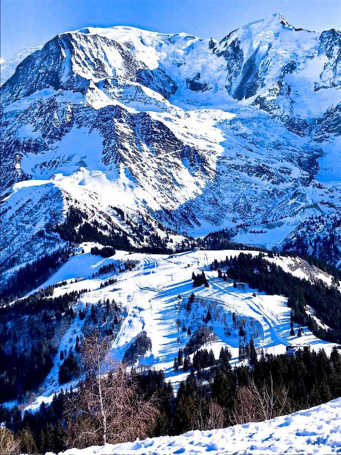 Chalet Amour Blanc Chamonix Les Houches Εξωτερικό φωτογραφία