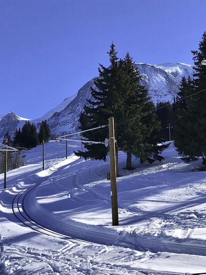 Chalet Amour Blanc Chamonix Les Houches Εξωτερικό φωτογραφία